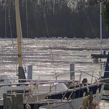 Waterwolf * Aalsmeer