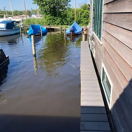 Waterwolf * Aalsmeer